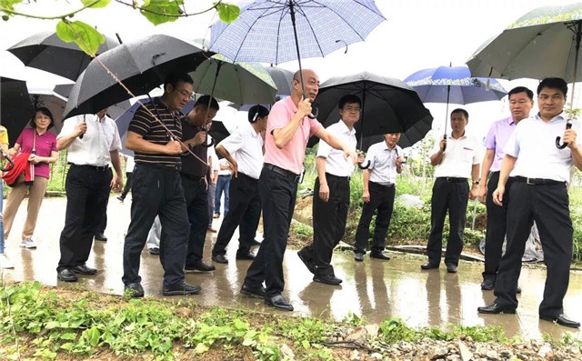 中央候补委员、厦门市委书记裴金佳视察田田圈福建百香果基地，盛赞“科技扶贫”的发展之路