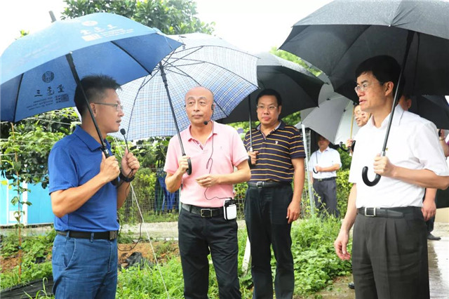 中央候补委员、厦门市委书记裴金佳视察田田圈福建百香果基地，盛赞“科技扶贫”的发展之路