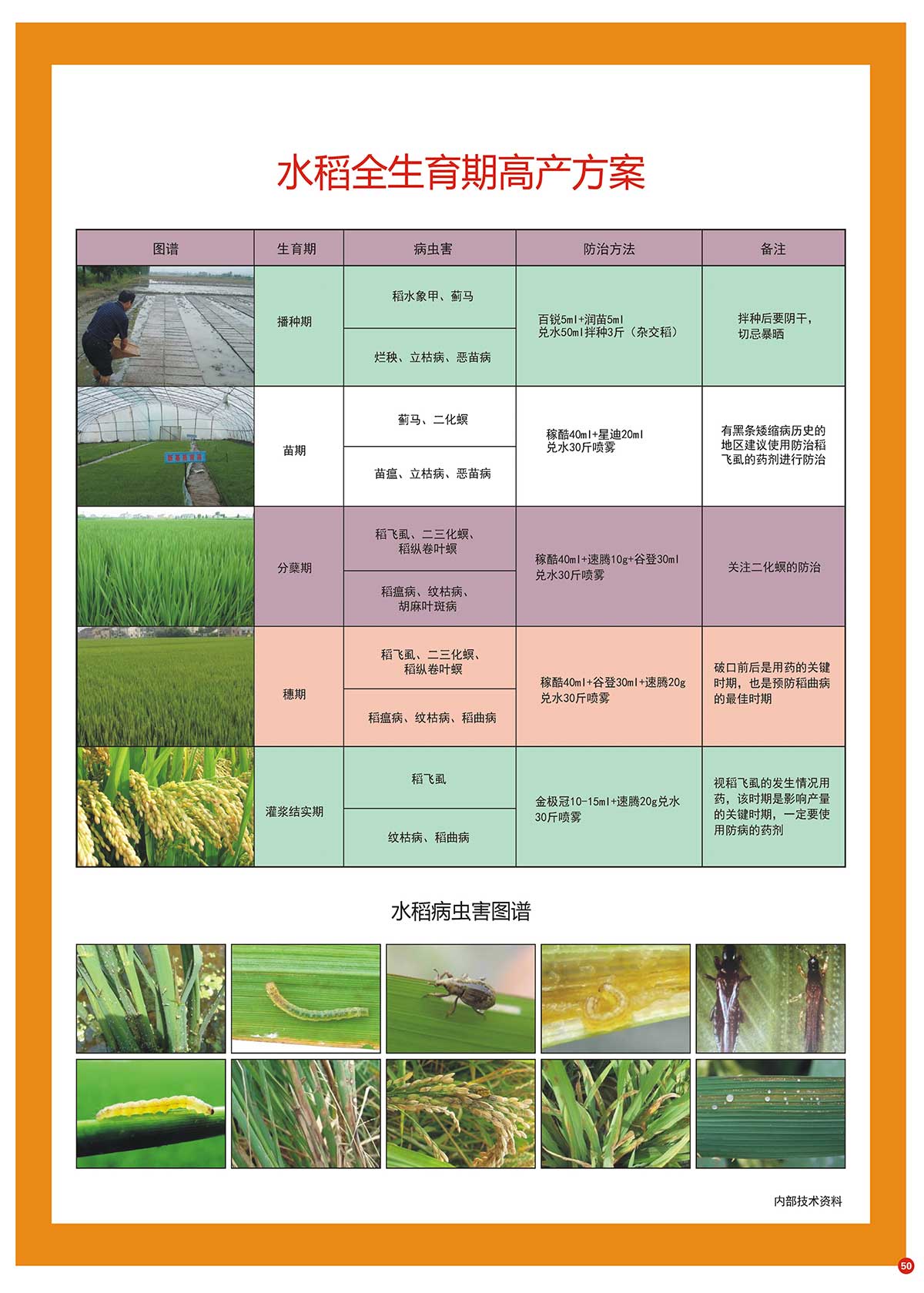 水稻全生育期高产方案