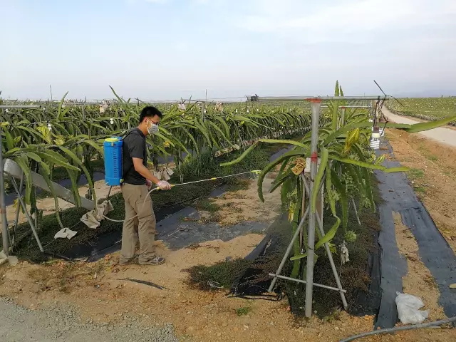 田田圈的博士们：在泥土地上绽放青春