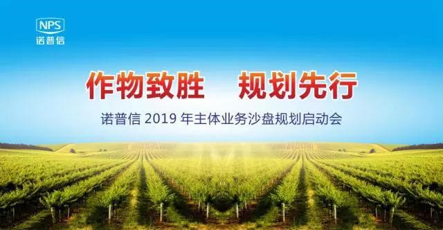 作物致胜，规划先行，赢战2019！诺普信主体业务暨沙盘模拟会议圆满结束